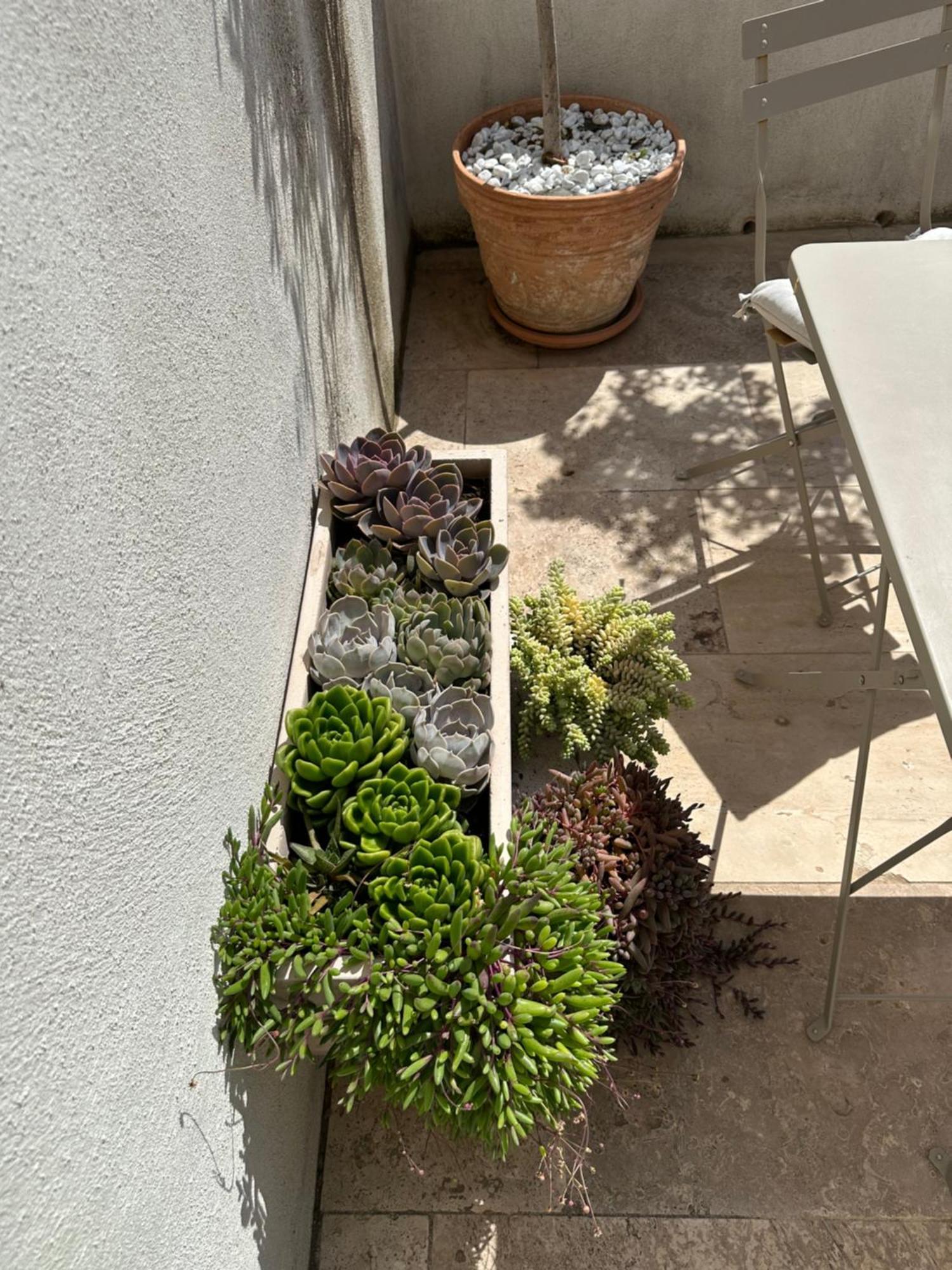 Appartements 3 Etoiles Terrasse Ou Patio Intra-Muros Aigues-Mortes Exterior foto